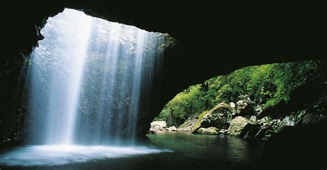 Gold Coast Natural Bridge And Springbrook Waterfalls Tour Getyourguide