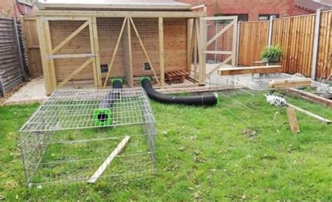How To Keep Your Rabbits Happy The Animal Welfare Foundation
