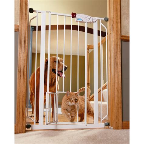 We did not find results for: Carlson Pet Products Extra Tall Pet Gate with Small Pet ...