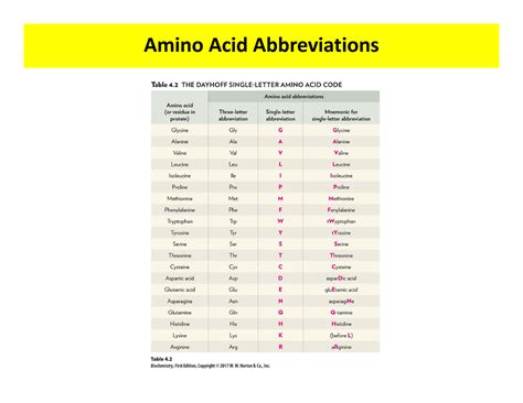 Amino Acids And Abbreviations