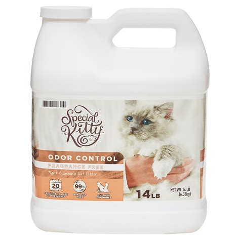 Special Kitty Scoopable Litter Review Ph