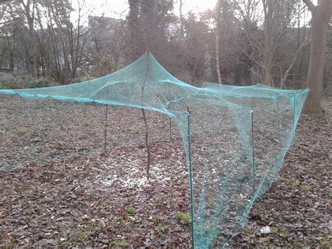 Uea Ringing Group Crow Trap