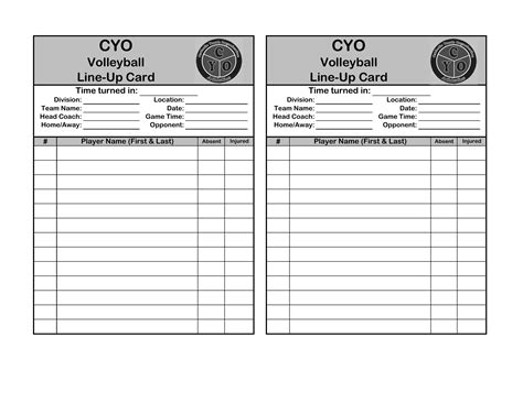 Blank Cyo Volleyball Lineup Sheet Fill Out And Print Pdfs