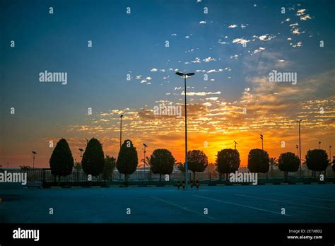 beautiful sunset view in king fahad park saudi arabia selective focus background blurred stock