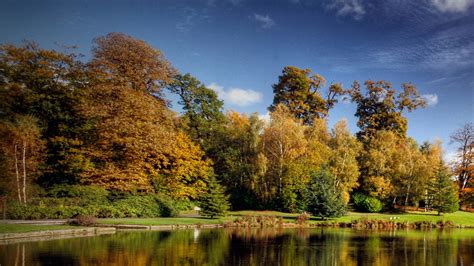 Beautiful Scenery View Of Trees Plants Bushes Reflection On Water Hd