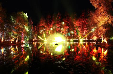 Pictures First Look At Wild New Enchanted Forest The