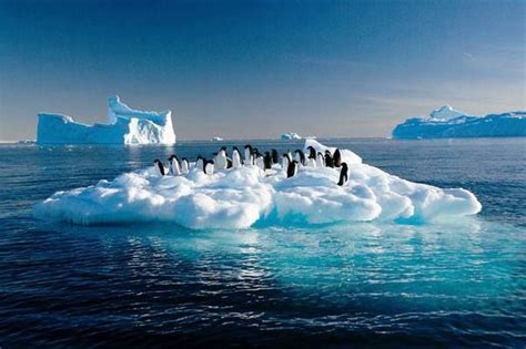 Offbeat South Pole Amazing Nature Beautiful World Beautiful Places