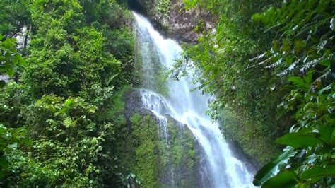 Northern Nicaragua Natural Beauty Landscapes Fauna