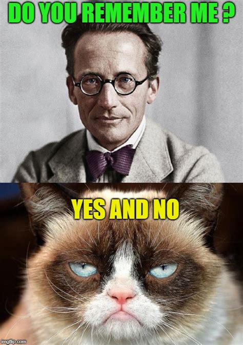 26 Funny Science Cat Memes Factory Memes