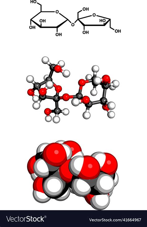 Sugar Sucrose Saccharose Molecule Chemical Vector Image