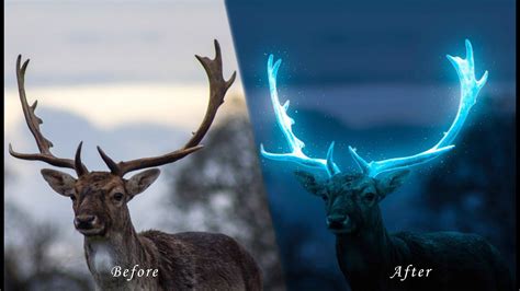 Deer Glowing Photo Manipulation In Photoshop Graphic Editor Youtube