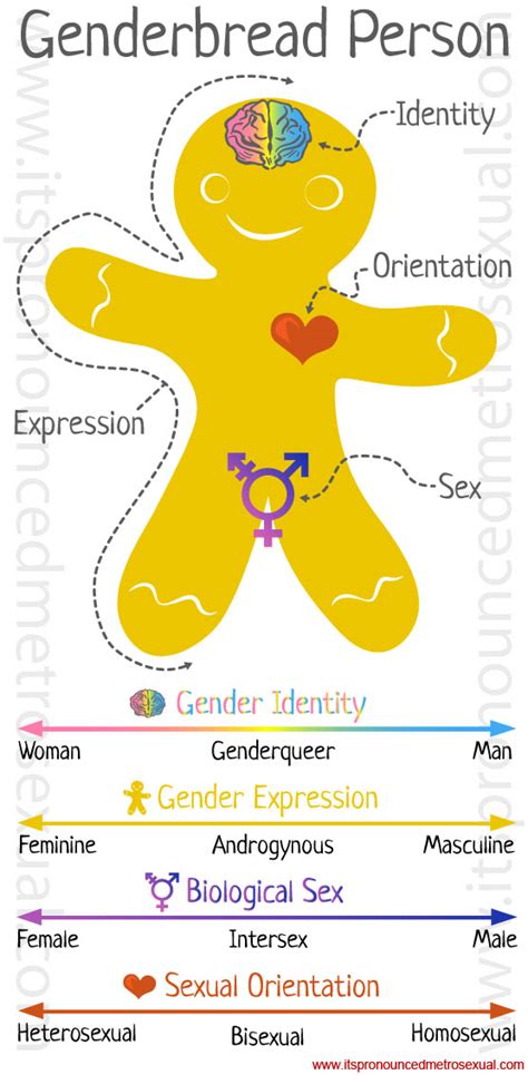 Gender Gender Expression Płeć Wszystko Co Powinniście Wiedzieć