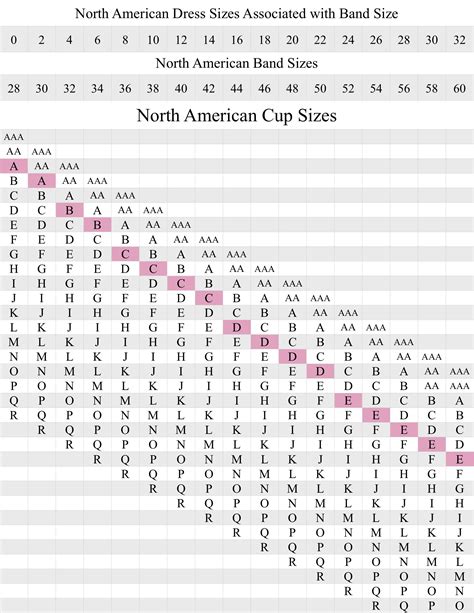 Bra Size Chart Understanding Bra Sizes Fashionista Bra Size Charts