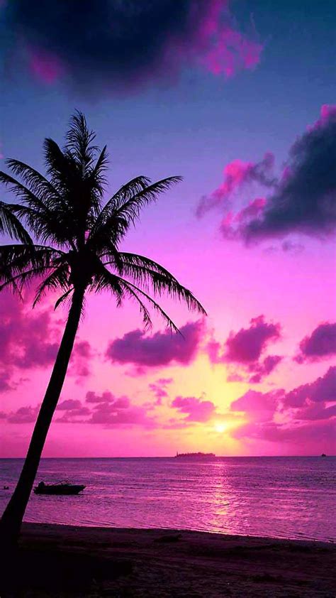 Pink Tropical Sunset Wallpaper By Goodfellagrl 97 Free On Zedge