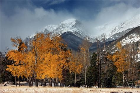 Rmnp Aspens And Storm Clouds 10 10 2807 Painting By Mike Jones Photo