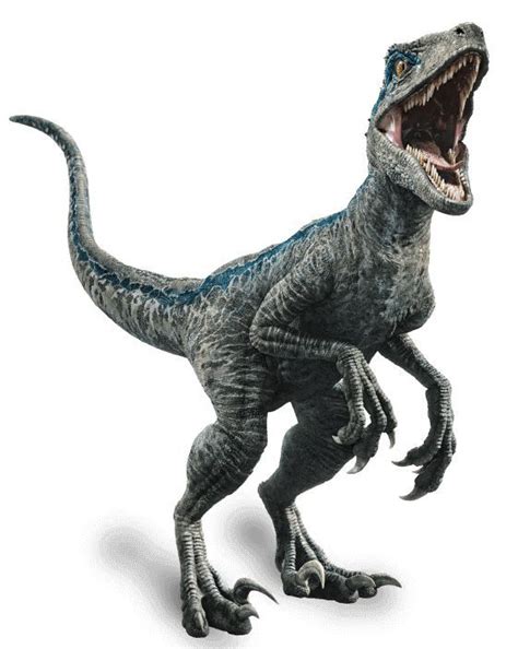 Jurassic World Fallen Kingdom Velociraptor Blue By Sonichedgehog2 Blue