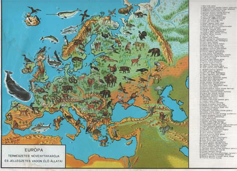 Natural Vegetation And Characteristic Wild Animals Of Europe 3508x2544