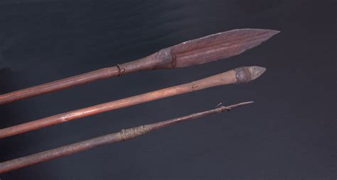Aboriginal plant use and technology stone eel and fish traps technology definition: Three Early 20th Century Aboriginal Spears | ArtOceanic