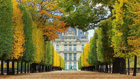 Louvre Autumn Bing Wallpaper Download