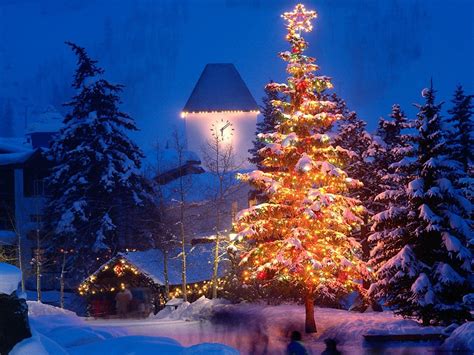 Christmas Tree Christmas Landscapes 800x600 Download Hd Wallpaper
