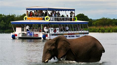 The zambezi river authority is responsible for the. Zambezi River Cruise - Travel Republic Africa