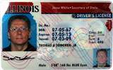 Photos of Search Drivers License