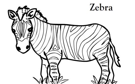 Zebra Coloring Page Template Zebra Coloring Pages Amp Blogger