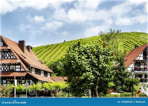 Vineyard And Country Houses In The Black Forest Germany Stock Photo