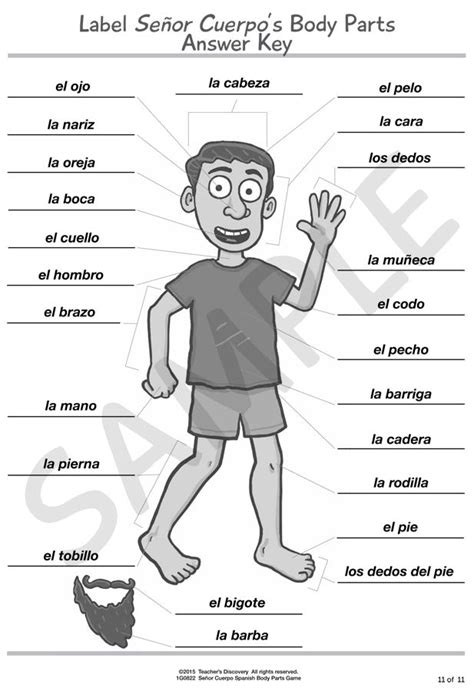 Spanish Parts Of The Body Worksheets