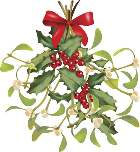 Mistletoe Png File Mistletoe Clipart Transparent Background Full