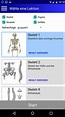 Anatomie Quiz - Grundwissen der Anatomie einfach erlernen