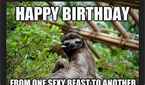 Funny Happy Birthday Sloth Memes Happy Birthday Memes