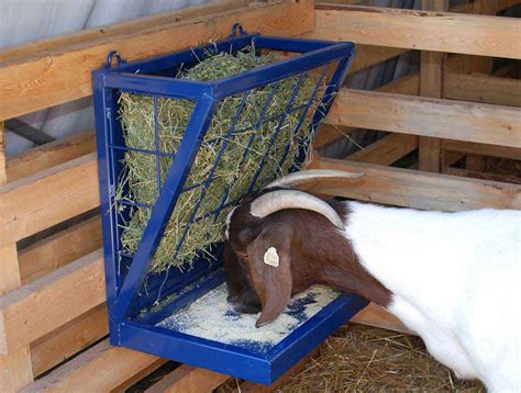 Combination Feeder For Goats North Star Equipment Goat Sheep Farm