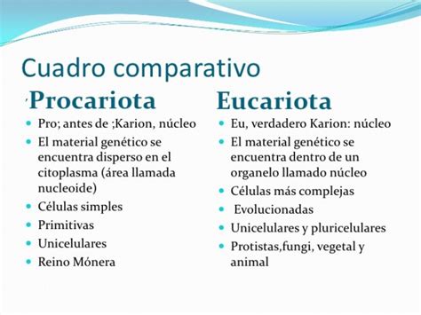 Cuadros Comparativos Entre Célula Procariota Y Eucariota Cuadro