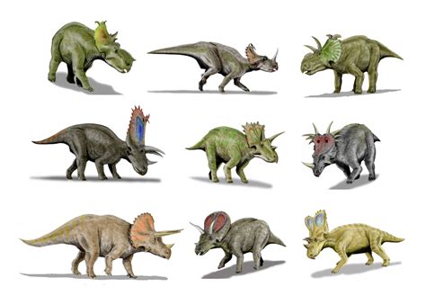 Amazing Facts About The Triceratops Earthly Universe