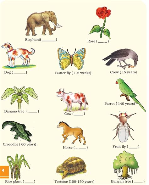 Ncert Class Xii Biology Chapter 1 Reproduction In Organisms