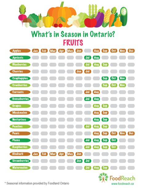 Vegetables And Fruits In Season Chart
