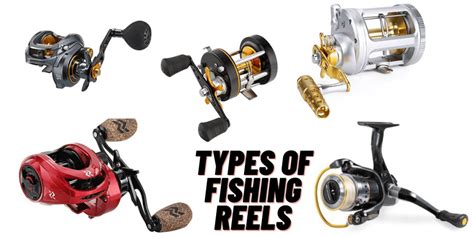 A Complete Guide To Lindy Rig Fishing SportFishingMate