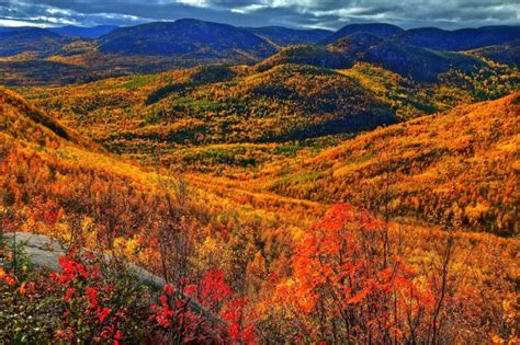 5 Places To See Fall Foliage In Canada