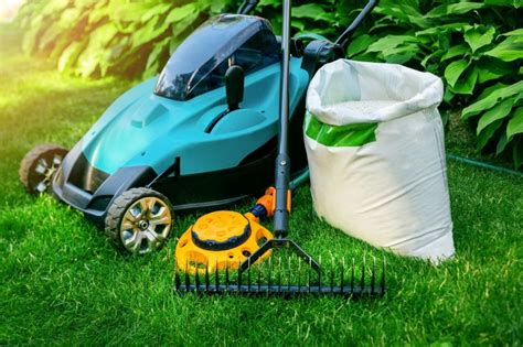 The Benefits Of Professional Lawn Care Services Lawns