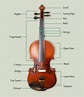 The Enthusiast's Guide To Each Detail Of The Violin