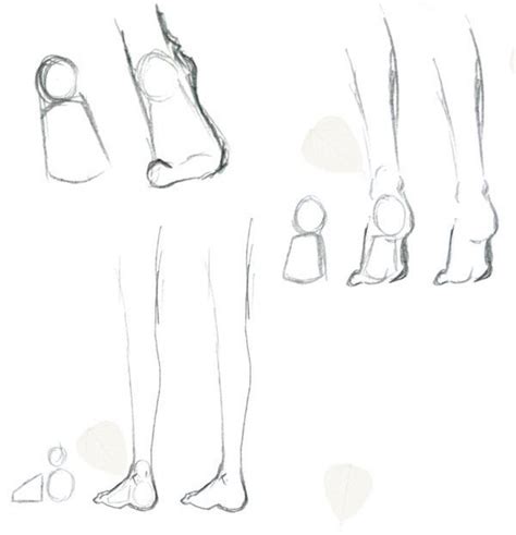 Legs And Foot Quick Tutorial Drawing