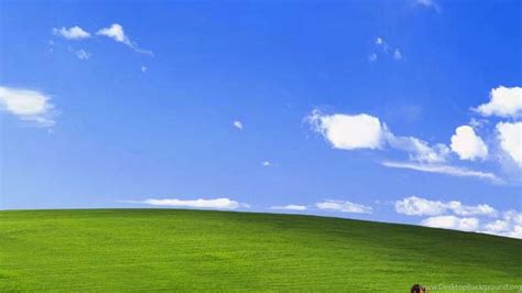 Funny Bliss Windows Xp Ipad 34 And Air Wallpapers Desktop Background