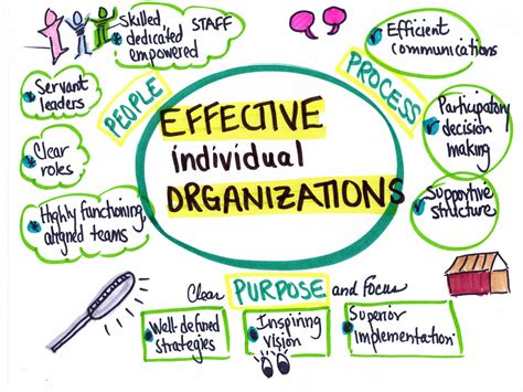 Effective Organizations - envision SYNERGY