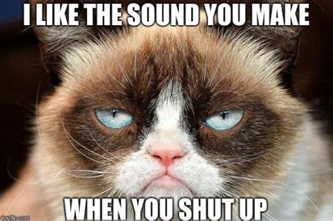 The Mandatory Monday Memes To Say Goodbye To Grumpy Cat