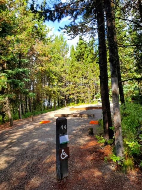 There are 86 camping sites in the campground. Signal Mountain Campground - Grand Teton National Park ...