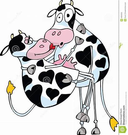 Cows Clipart Caress Gentle Kissing Bull Cartoon