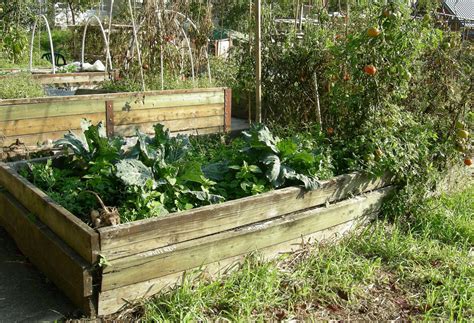 Raised Garden Bed Ideas And Materials Living Permaculture