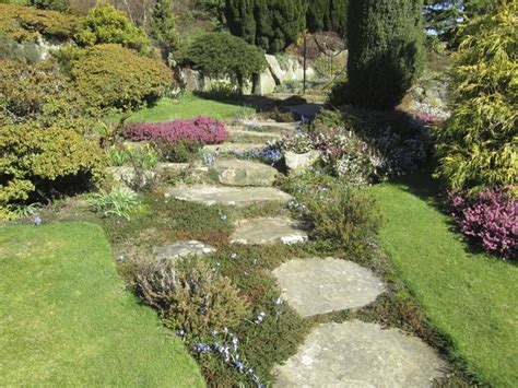 The Best Ground Covers For A Sunny Area Ehow