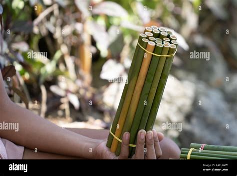 Bundles Of Green Bamboo Straws For Sale In Siargao Islandphilippines